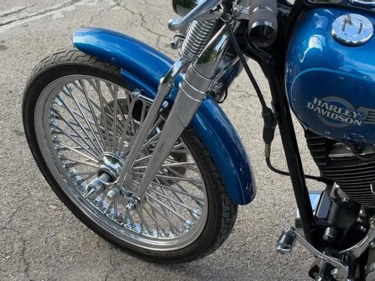 Harley-Davidson 1450 Springer (2005 - 06) - FXSTSI (10)