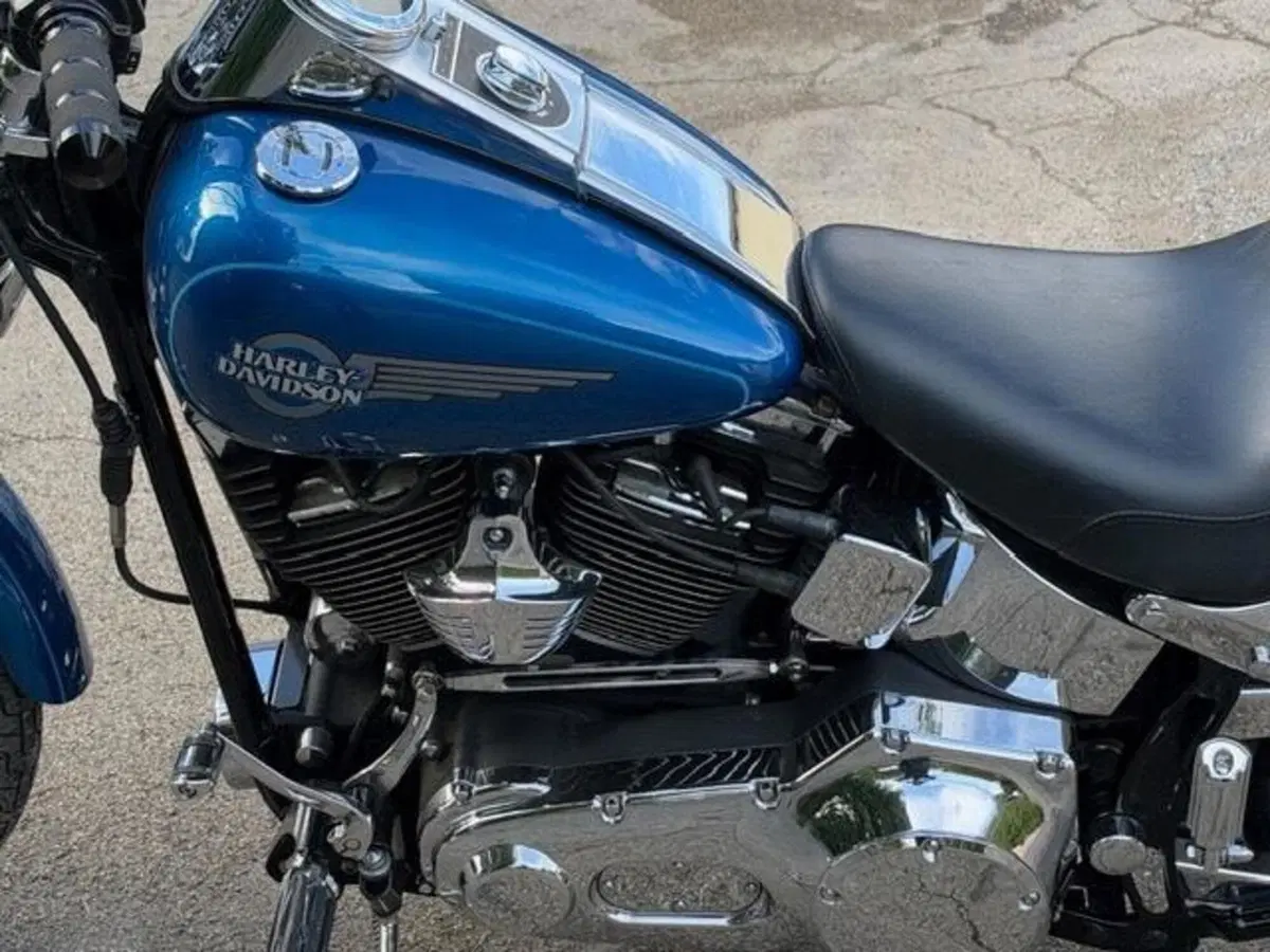 Harley-Davidson 1450 Springer (2005 - 06) - FXSTSI (11)