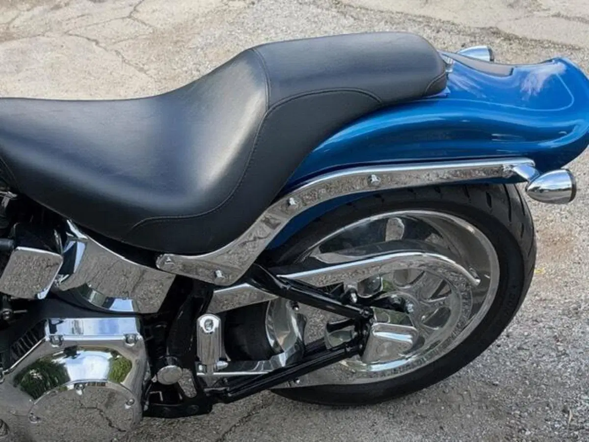 Harley-Davidson 1450 Springer (2005 - 06) - FXSTSI (12)