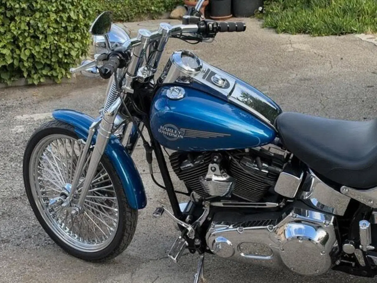 Harley-Davidson 1450 Springer (2005 - 06) - FXSTSI (13)