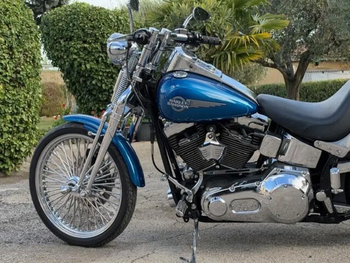 Harley-Davidson 1450 Springer (2005 - 06) - FXSTSI (15)
