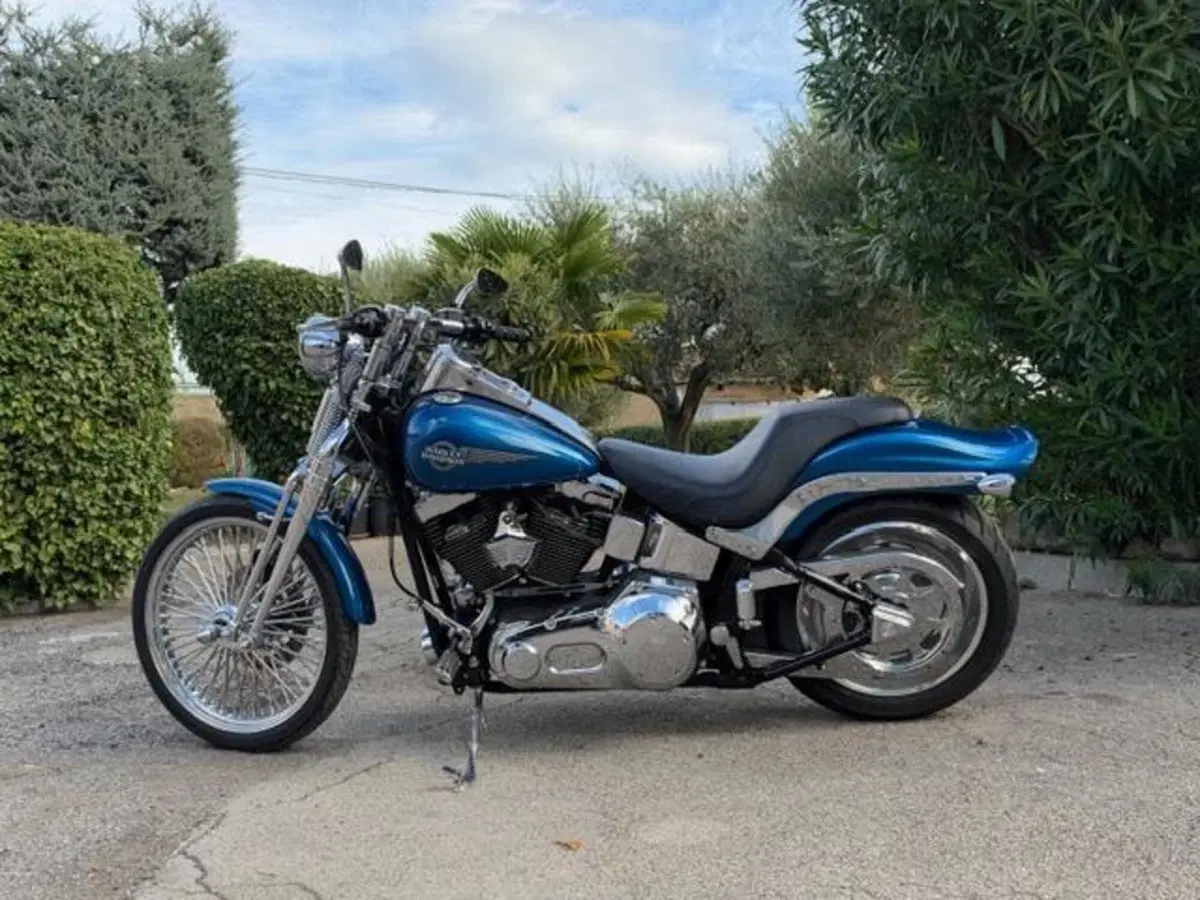 Harley-Davidson 1450 Springer (2005 - 06) - FXSTSI (16)