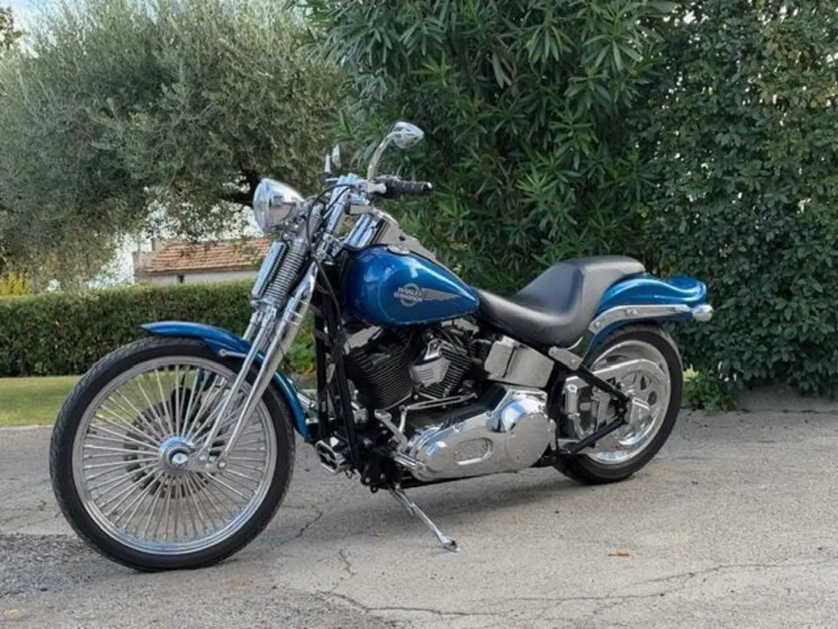 Harley-Davidson 1450 Springer (2005 - 06) - FXSTSI (17)