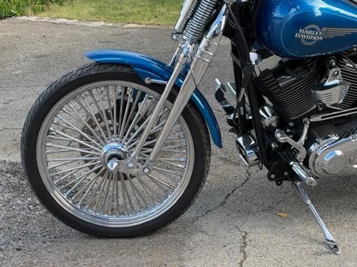 Harley-Davidson 1450 Springer (2005 - 06) - FXSTSI (18)