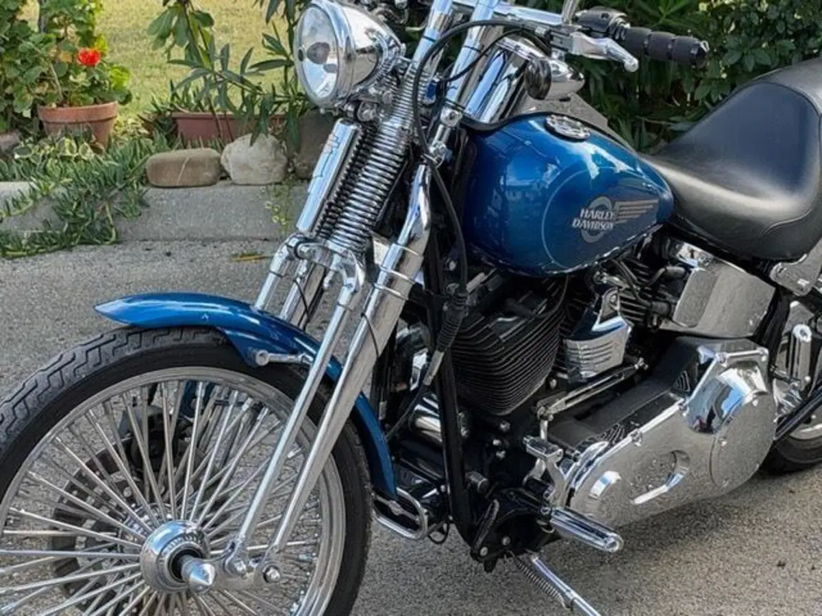 Harley-Davidson 1450 Springer (2005 - 06) - FXSTSI (19)