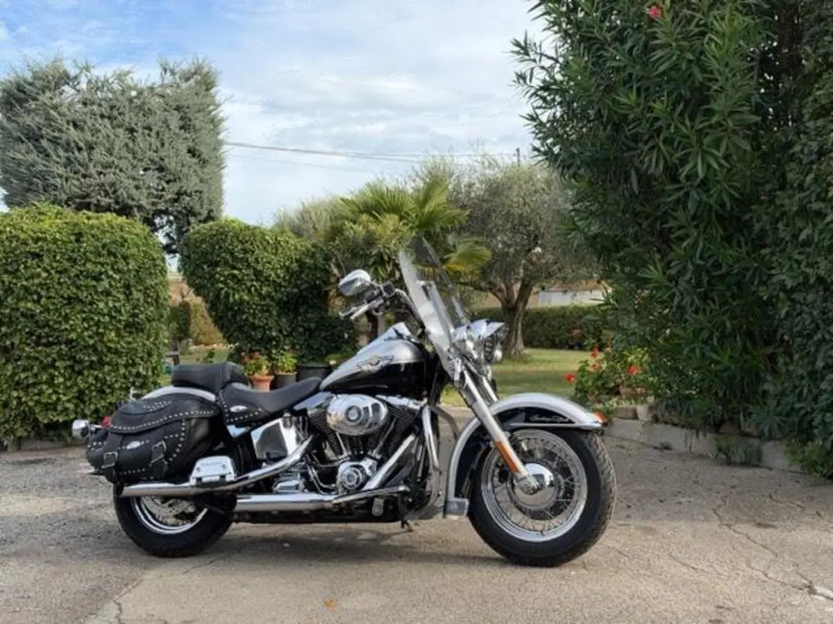 Harley-Davidson 1450 Heritage Classic (2003 - 05) - FLSTCI (2)