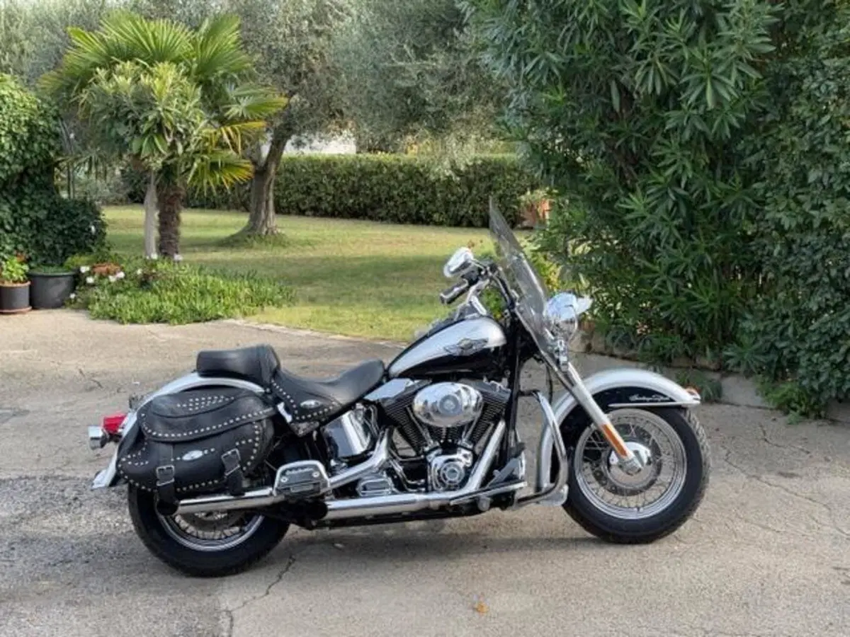 Harley-Davidson 1450 Heritage Classic (2003 - 05) - FLSTCI (3)