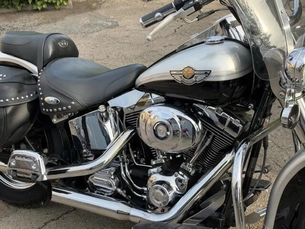 Harley-Davidson 1450 Heritage Classic (2003 - 05) - FLSTCI (6)