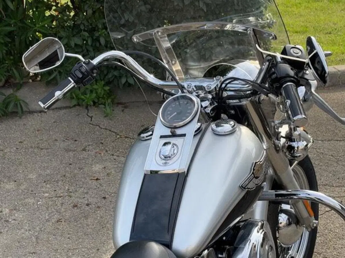 Harley-Davidson 1450 Heritage Classic (2003 - 05) - FLSTCI (9)