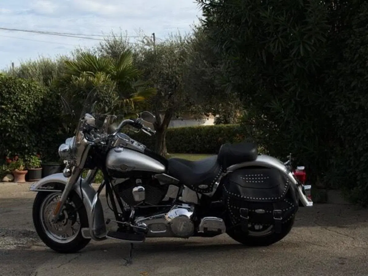 Harley-Davidson 1450 Heritage Classic (2003 - 05) - FLSTCI (16)