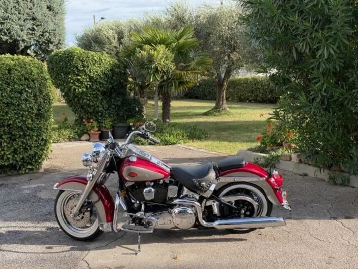 Harley-Davidson 1340 Heritage Classic (1984 - 98) - FLSTC (16)