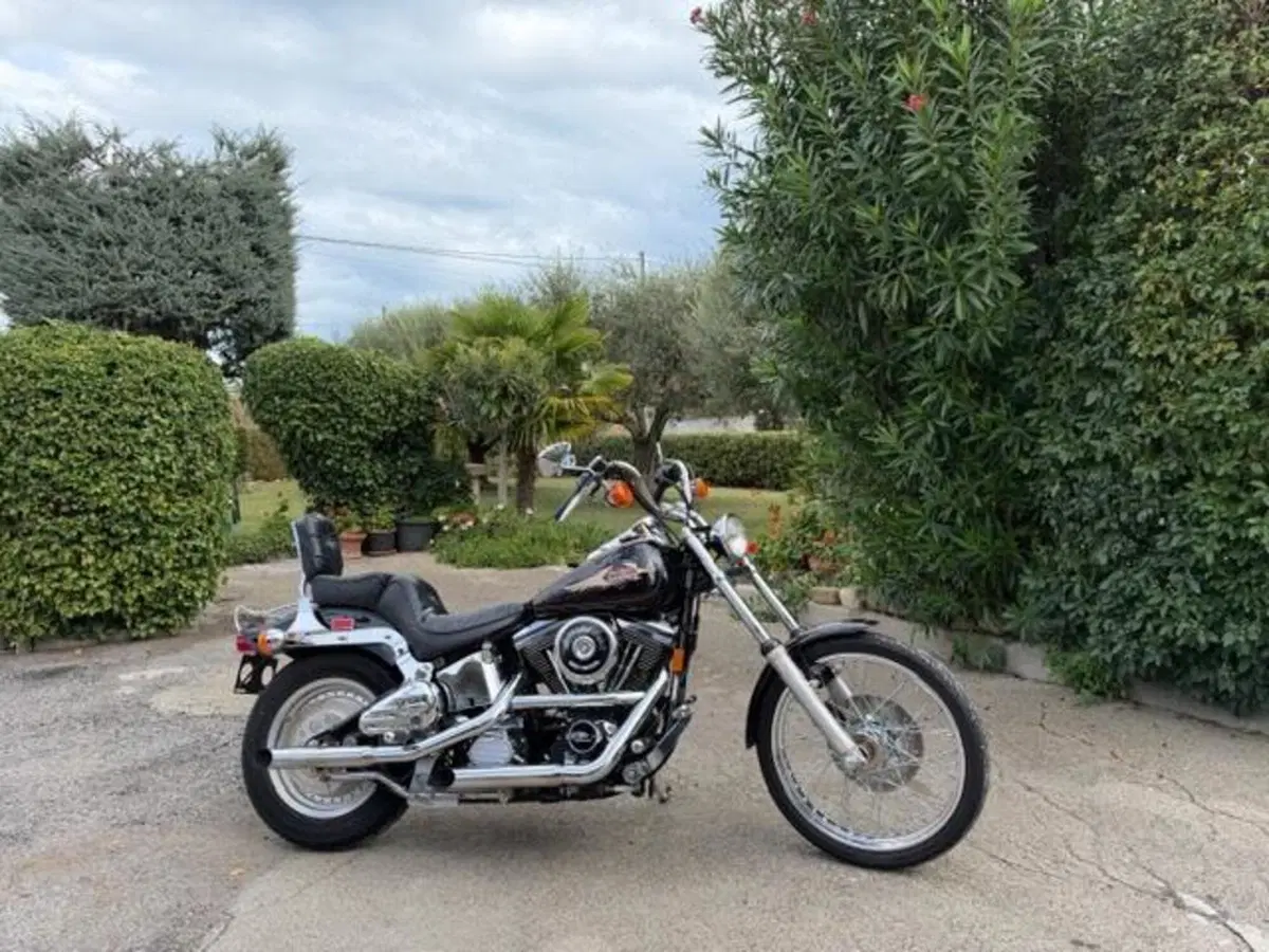 Harley-Davidson 1340 Custom (1989 - 98) (6)