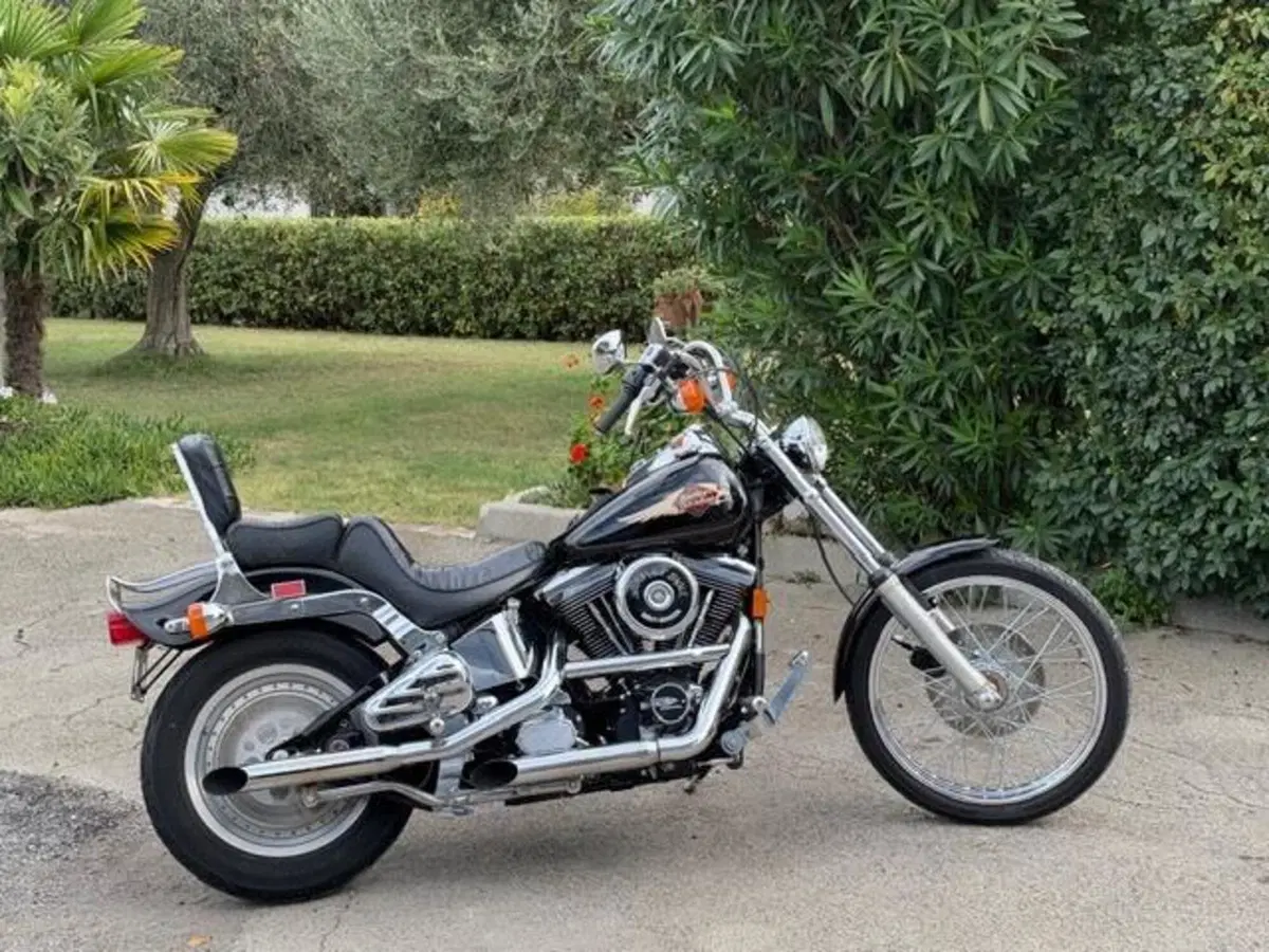 Harley-Davidson 1340 Custom (1989 - 98)