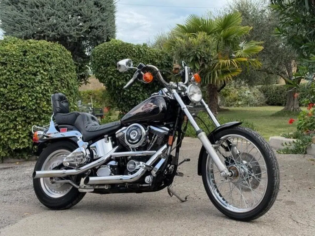Harley-Davidson 1340 Custom (1989 - 98) (2)