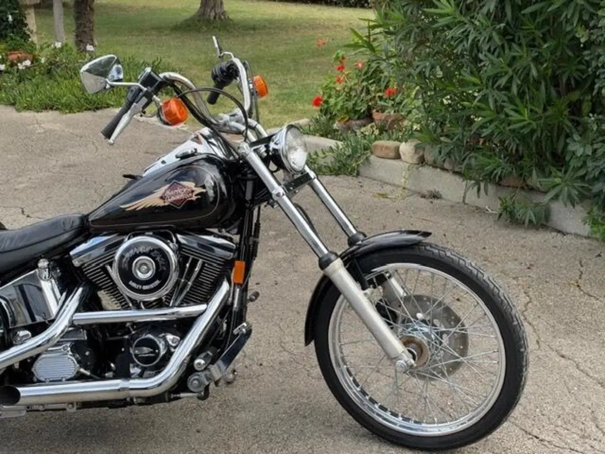Harley-Davidson 1340 Custom (1989 - 98) (3)