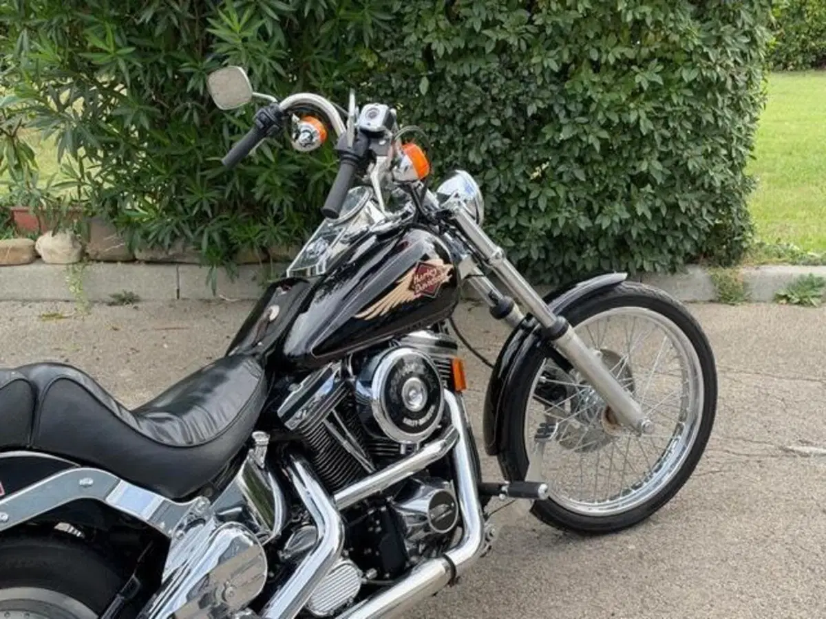 Harley-Davidson 1340 Custom (1989 - 98) (4)