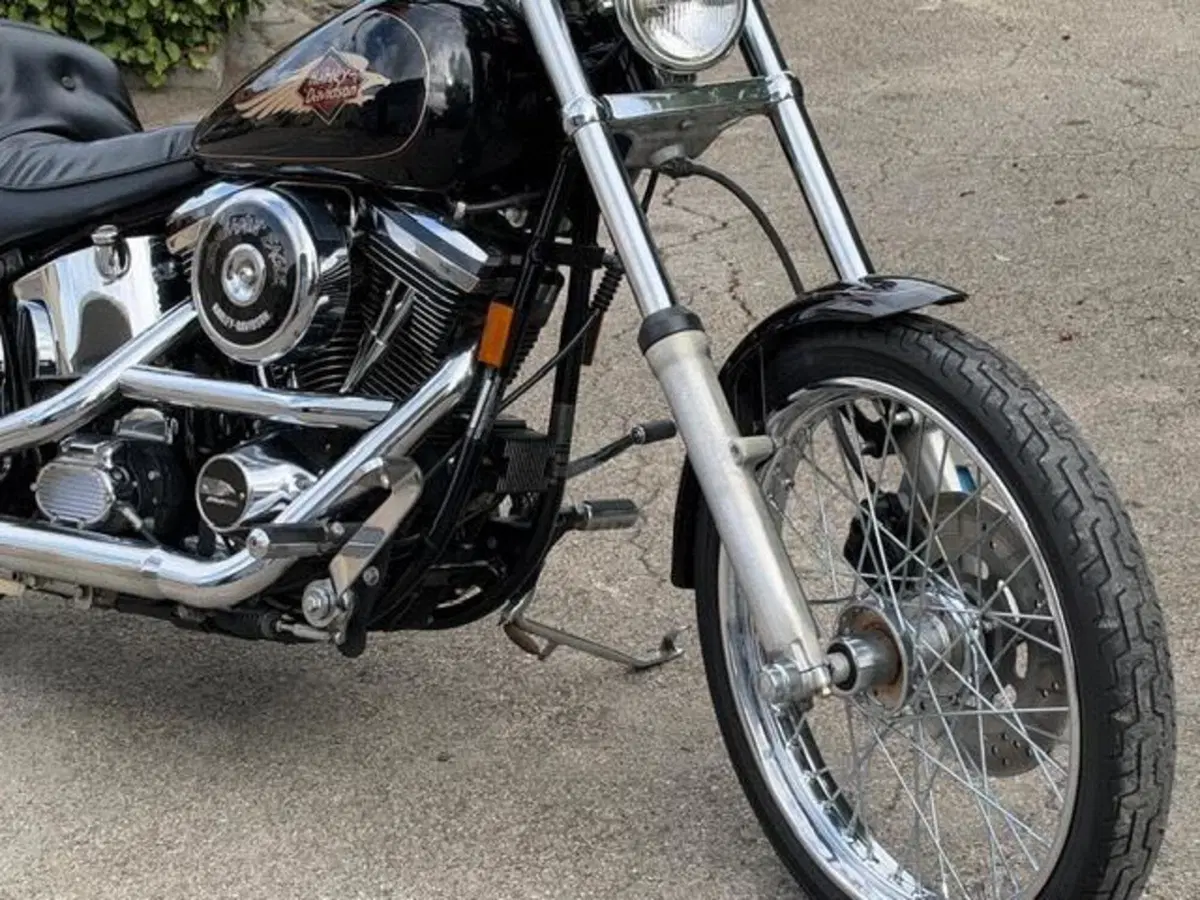 Harley-Davidson 1340 Custom (1989 - 98) (8)