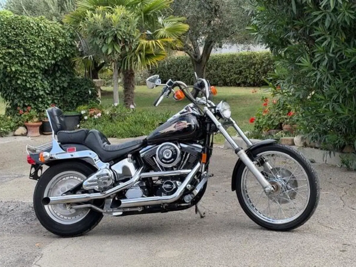 Harley-Davidson 1340 Custom (1989 - 98) (9)