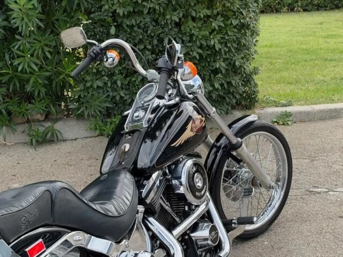 Harley-Davidson 1340 Custom (1989 - 98) (10)