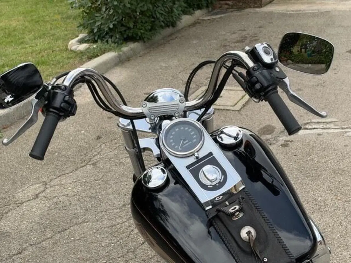 Harley-Davidson 1340 Custom (1989 - 98) (12)
