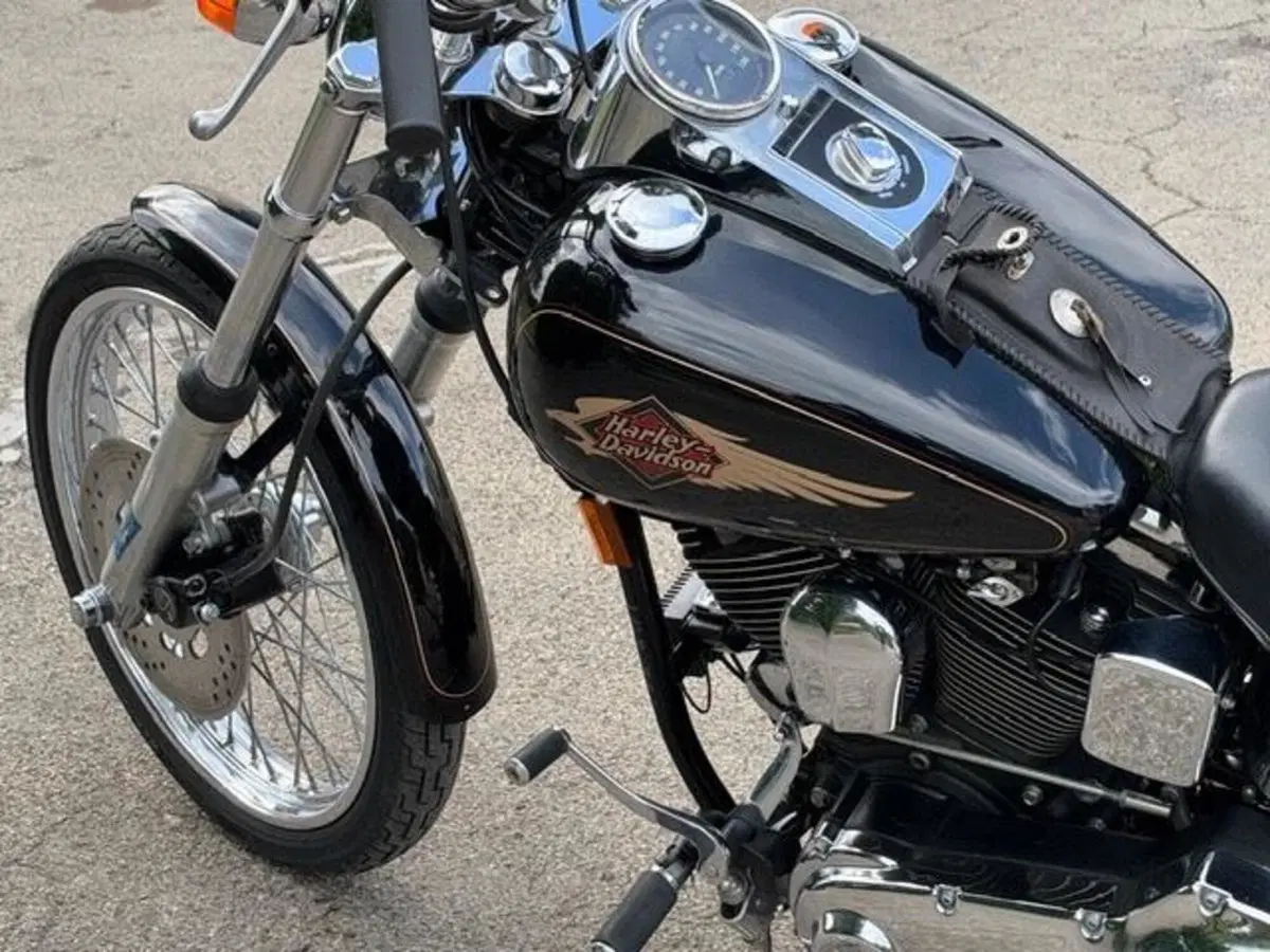 Harley-Davidson 1340 Custom (1989 - 98) (15)