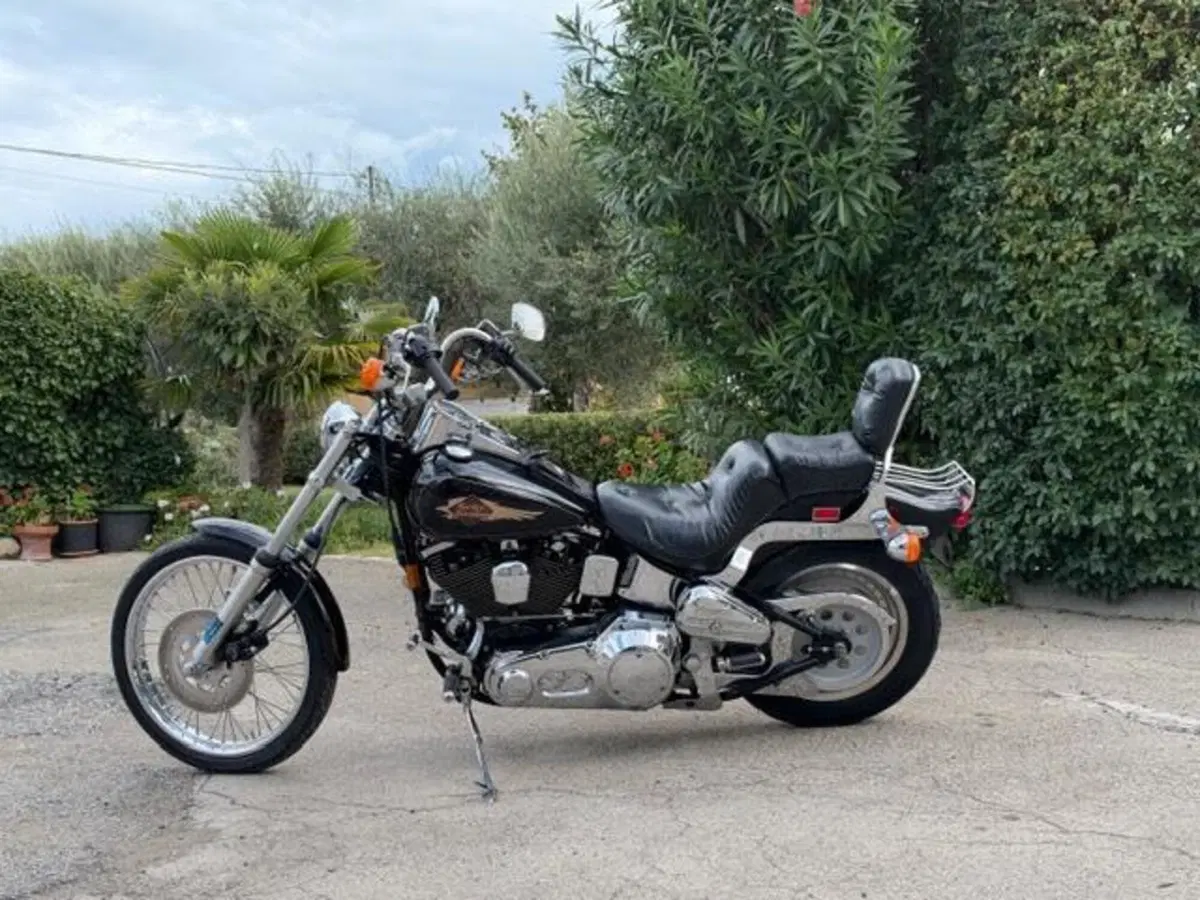 Harley-Davidson 1340 Custom (1989 - 98) (18)