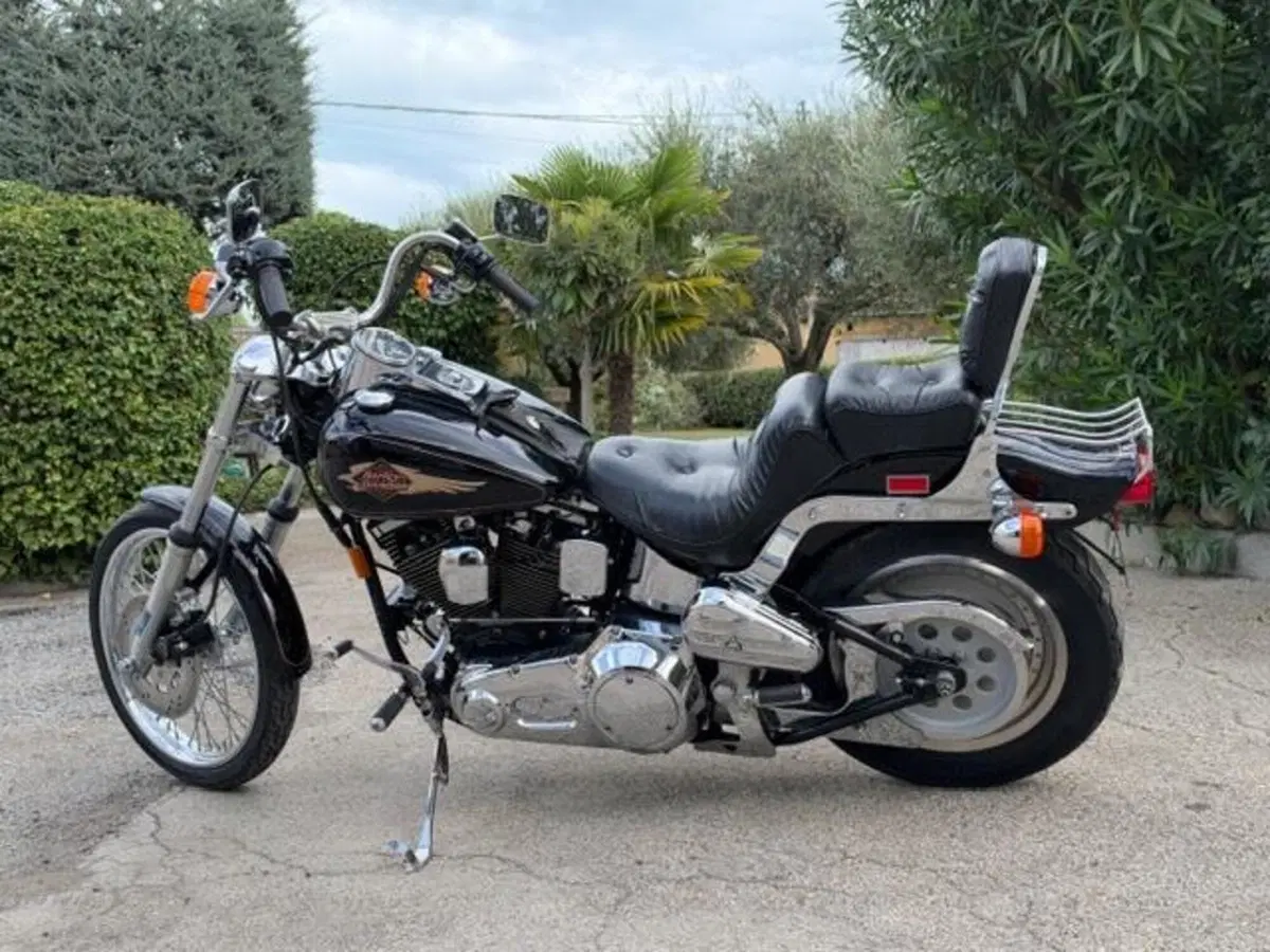 Harley-Davidson 1340 Custom (1989 - 98) (19)