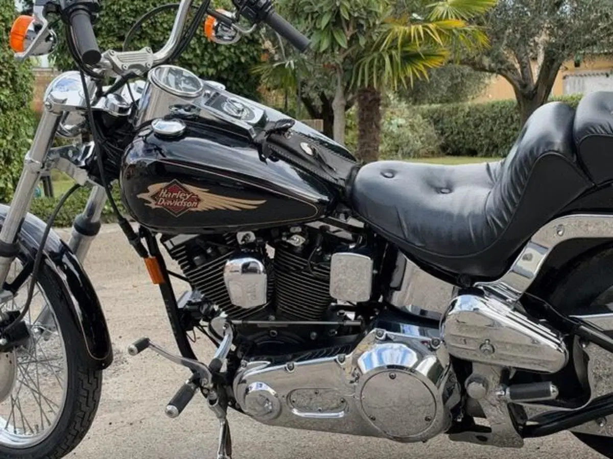 Harley-Davidson 1340 Custom (1989 - 98) (20)