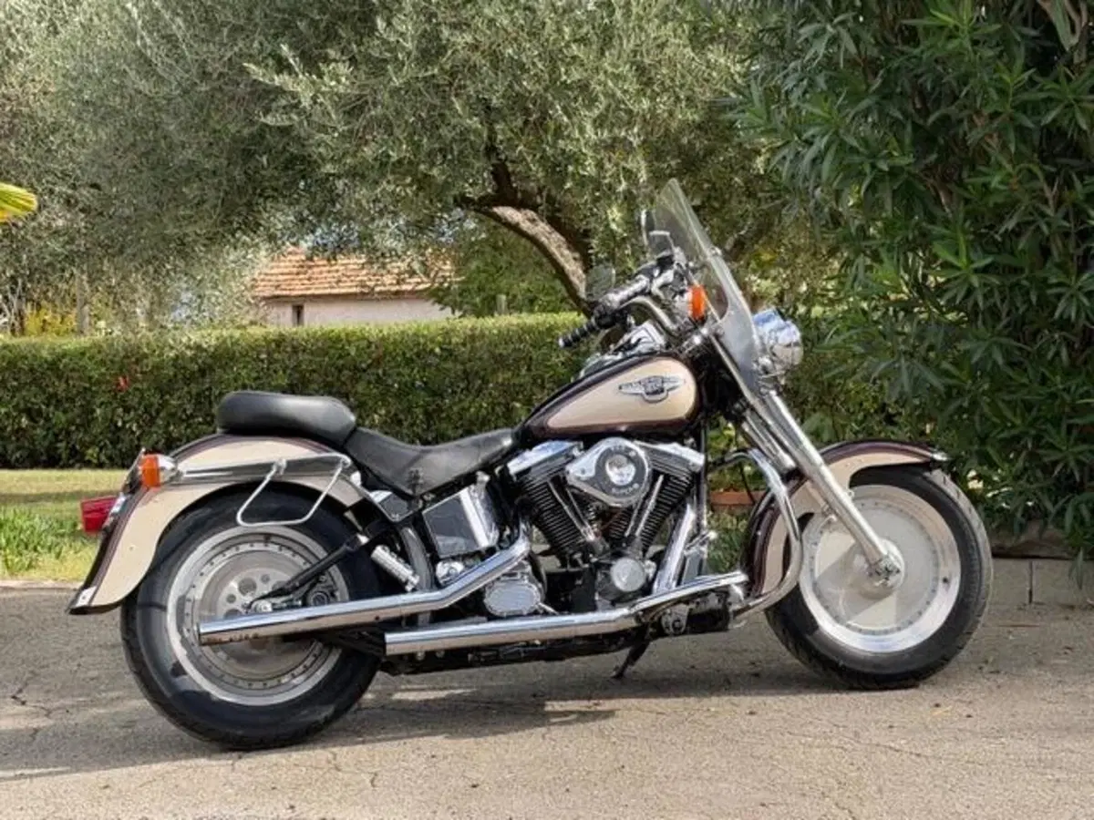 Harley-Davidson 1340 Fat Boy (1990 - 99) - FLSTF (8)