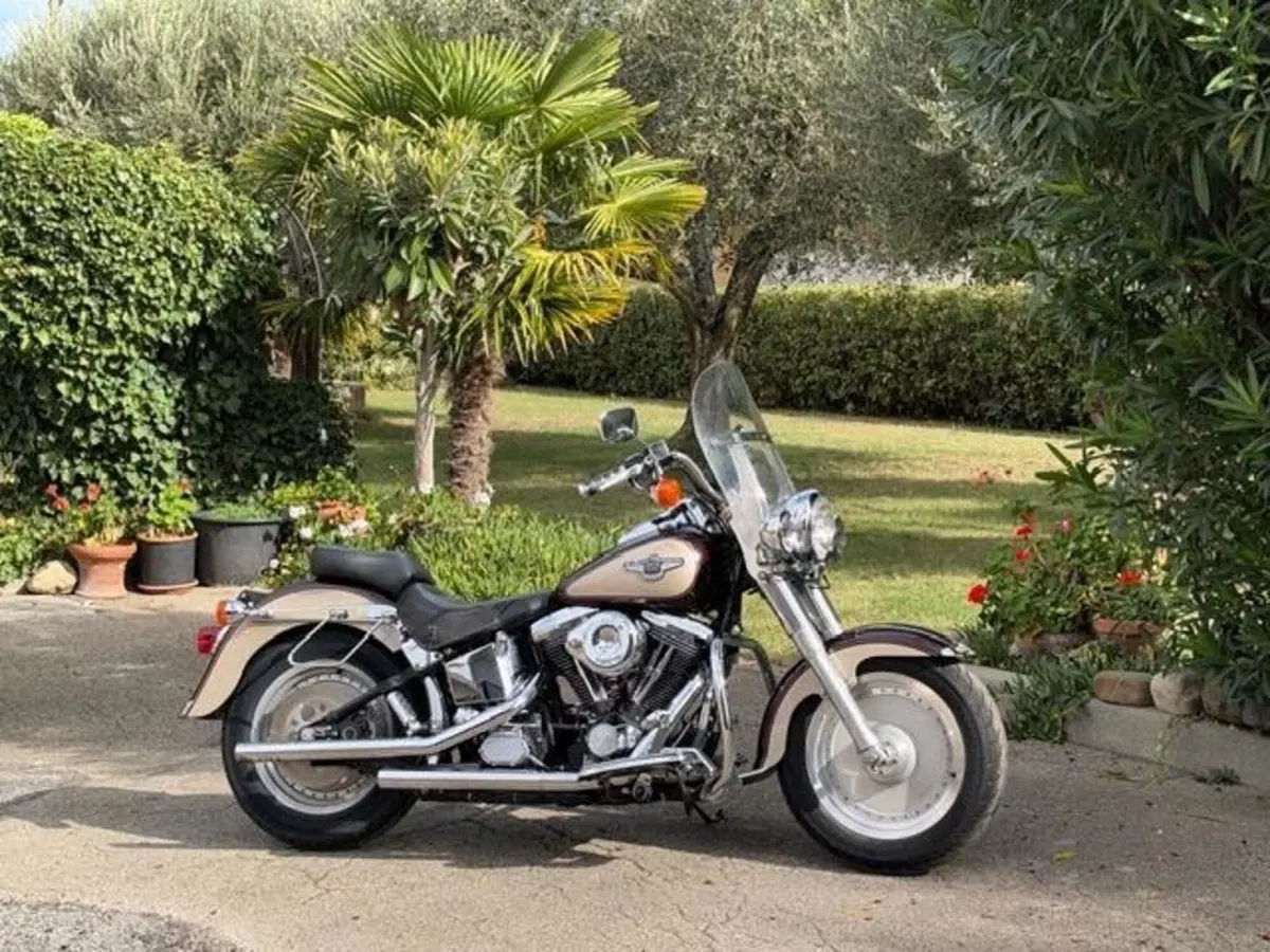 Harley-Davidson 1340 Fat Boy (1990 - 99) - FLSTF (9)