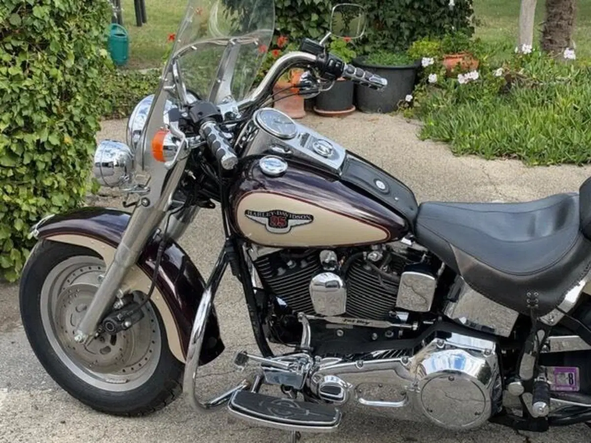 Harley-Davidson 1340 Fat Boy (1990 - 99) - FLSTF (14)