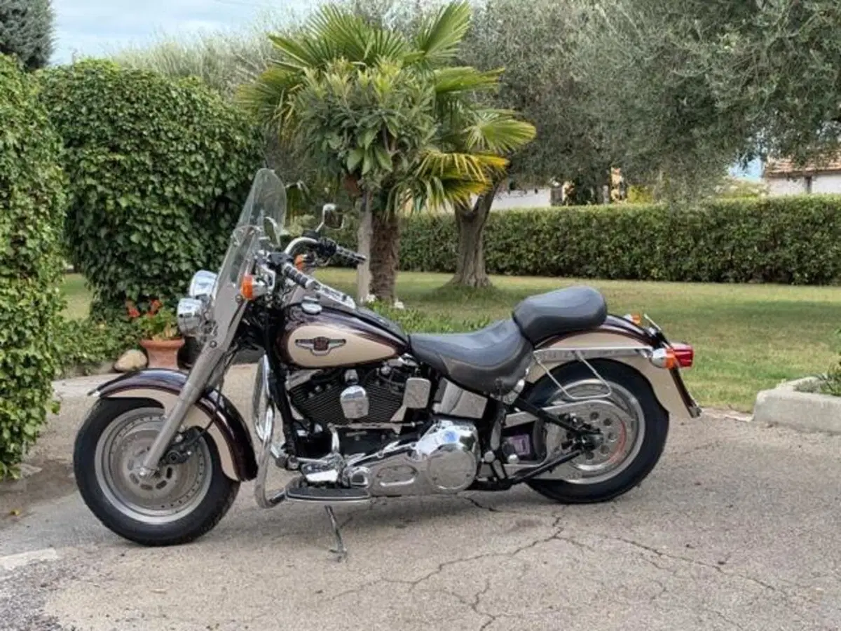 Harley-Davidson 1340 Fat Boy (1990 - 99) - FLSTF (16)