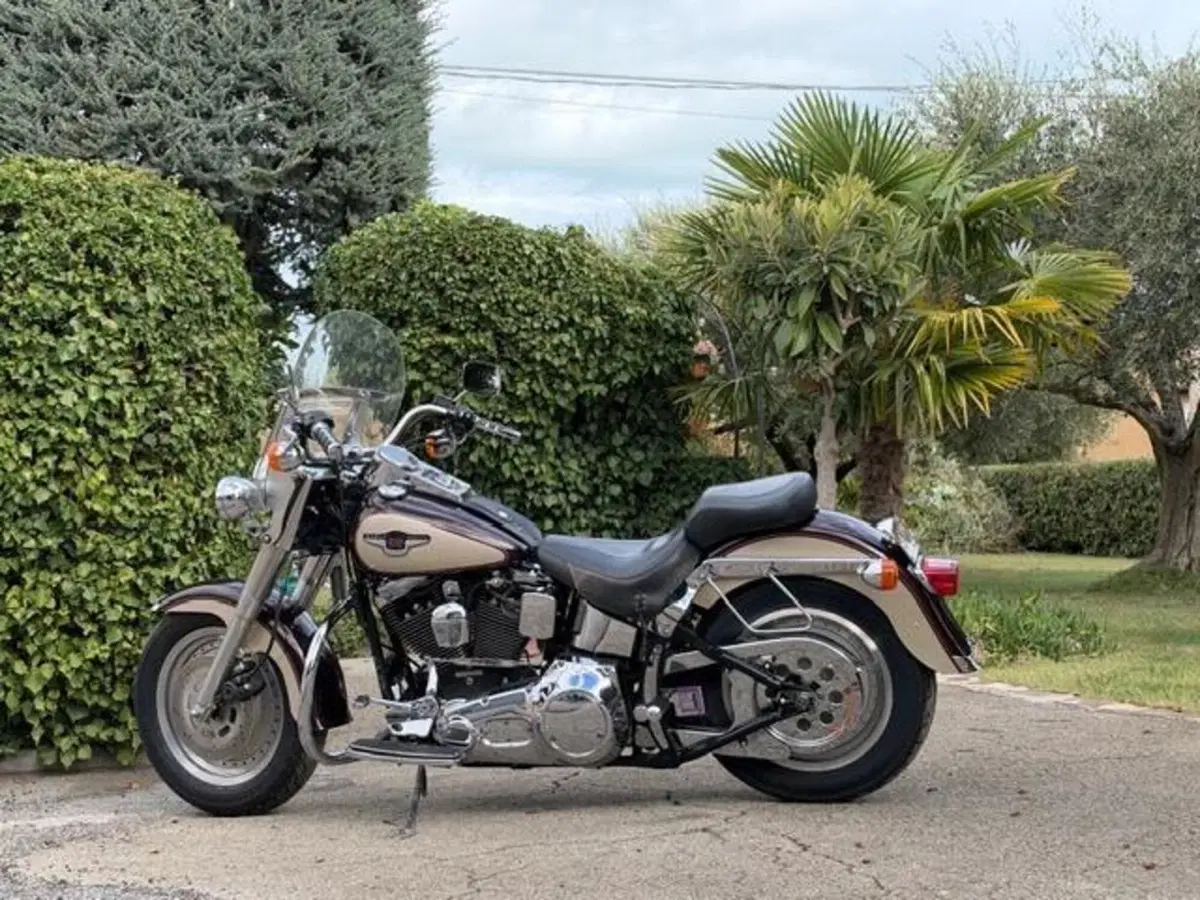 Harley-Davidson 1340 Fat Boy (1990 - 99) - FLSTF (17)