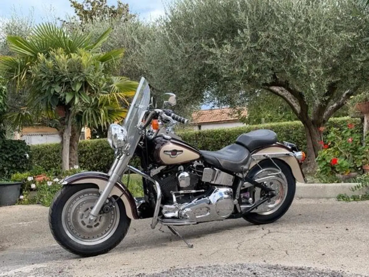 Harley-Davidson 1340 Fat Boy (1990 - 99) - FLSTF (18)