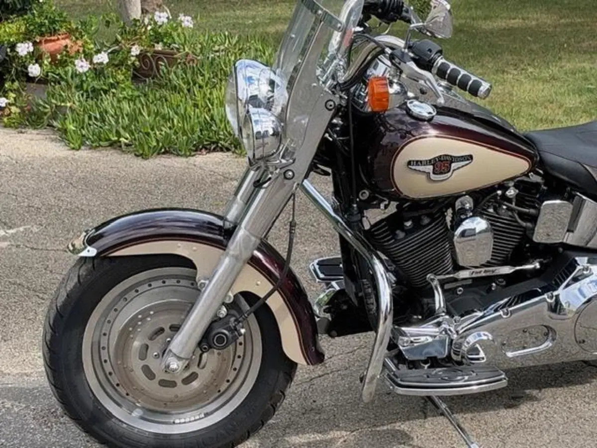 Harley-Davidson 1340 Fat Boy (1990 - 99) - FLSTF (19)