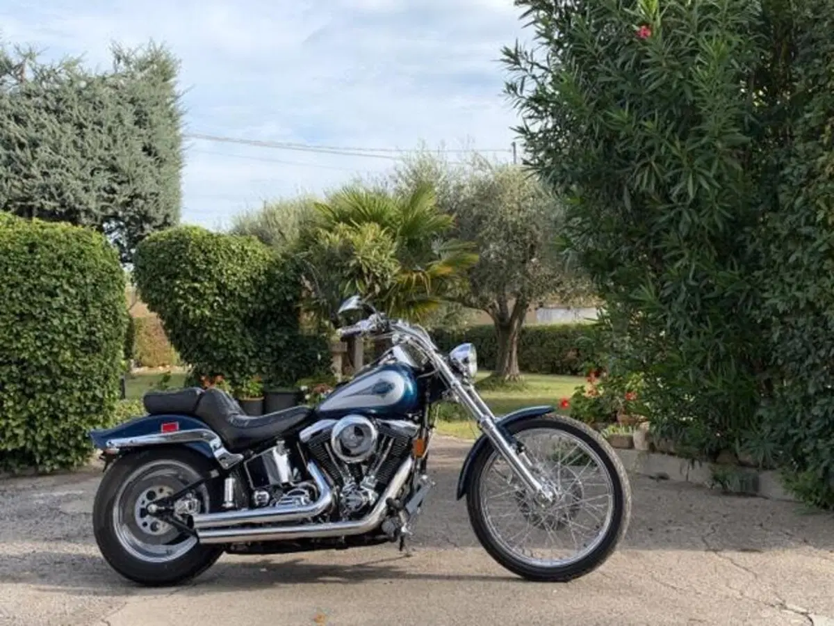 Harley-Davidson 1340 Custom (1989 - 98)