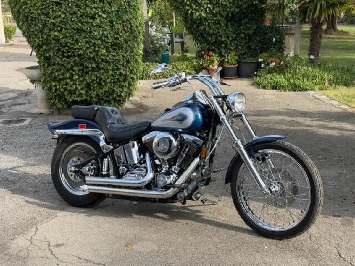 Harley-Davidson 1340 Custom (1989 - 98) (2)