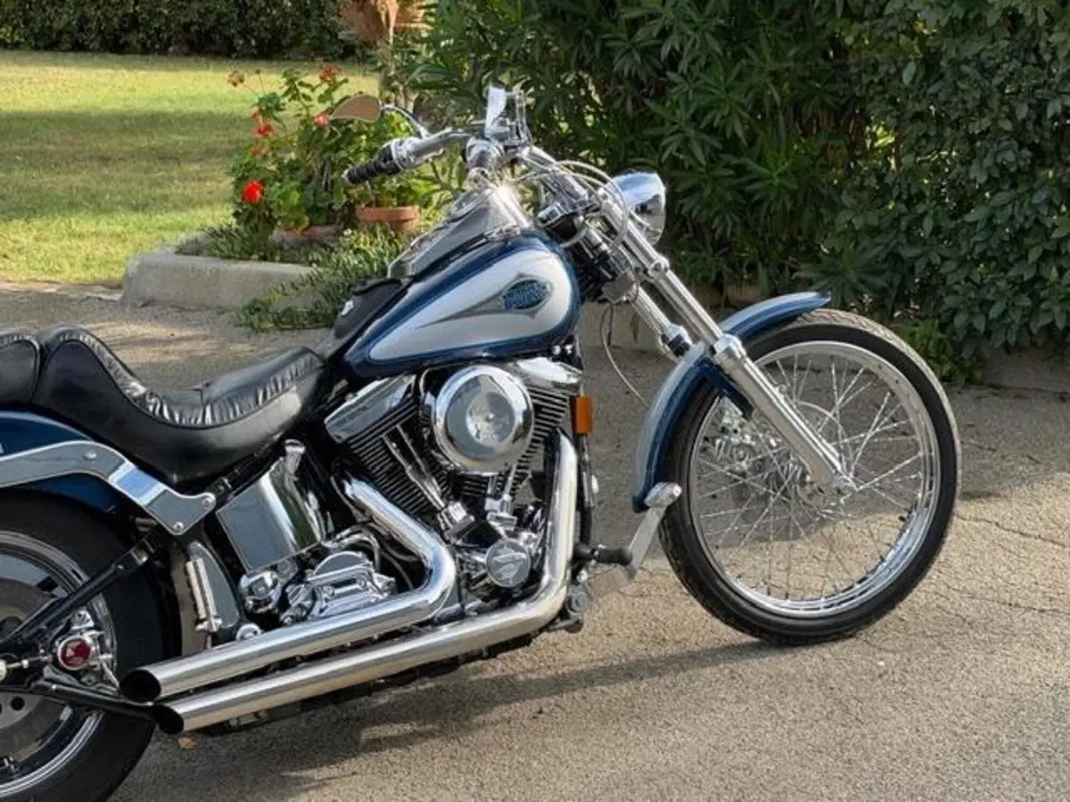 Harley-Davidson 1340 Custom (1989 - 98) (3)
