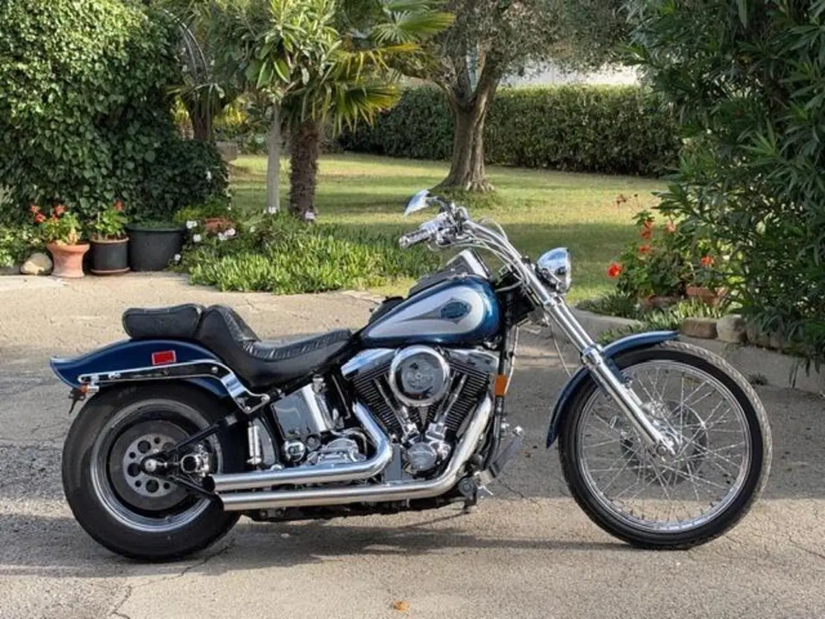 Harley-Davidson 1340 Custom (1989 - 98) (4)