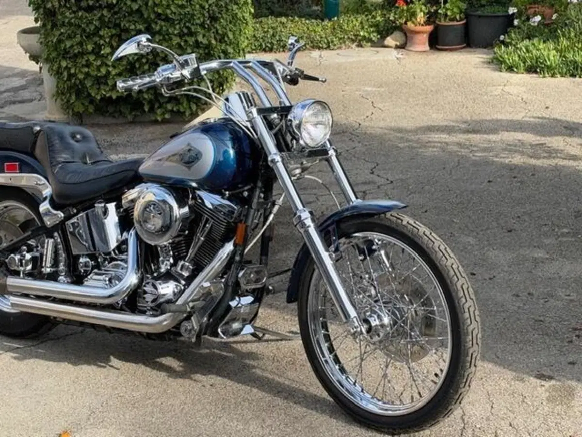 Harley-Davidson 1340 Custom (1989 - 98) (5)
