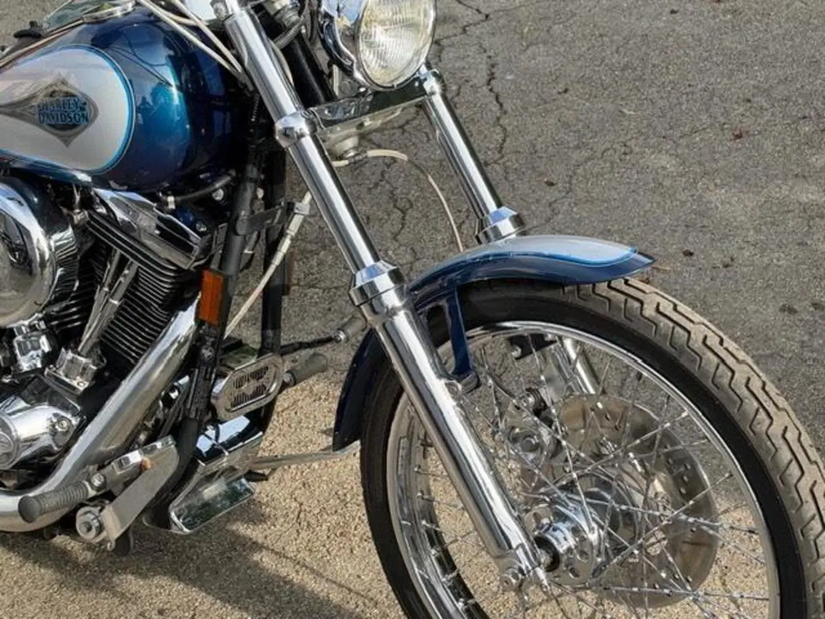 Harley-Davidson 1340 Custom (1989 - 98) (6)