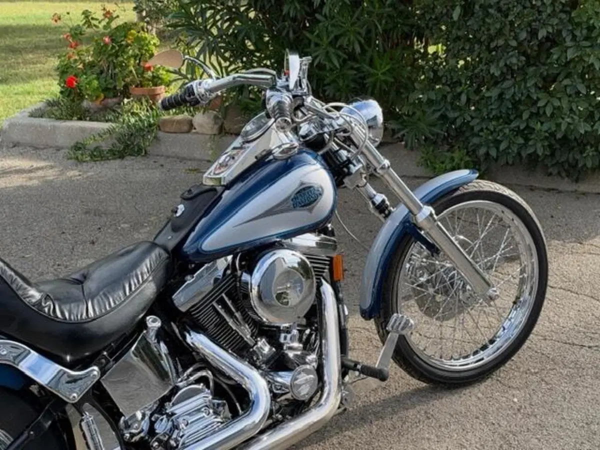 Harley-Davidson 1340 Custom (1989 - 98) (7)