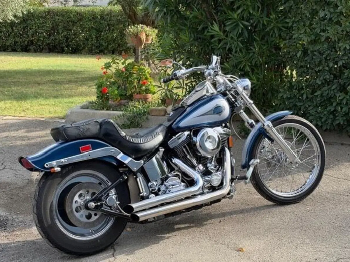 Harley-Davidson 1340 Custom (1989 - 98) (8)