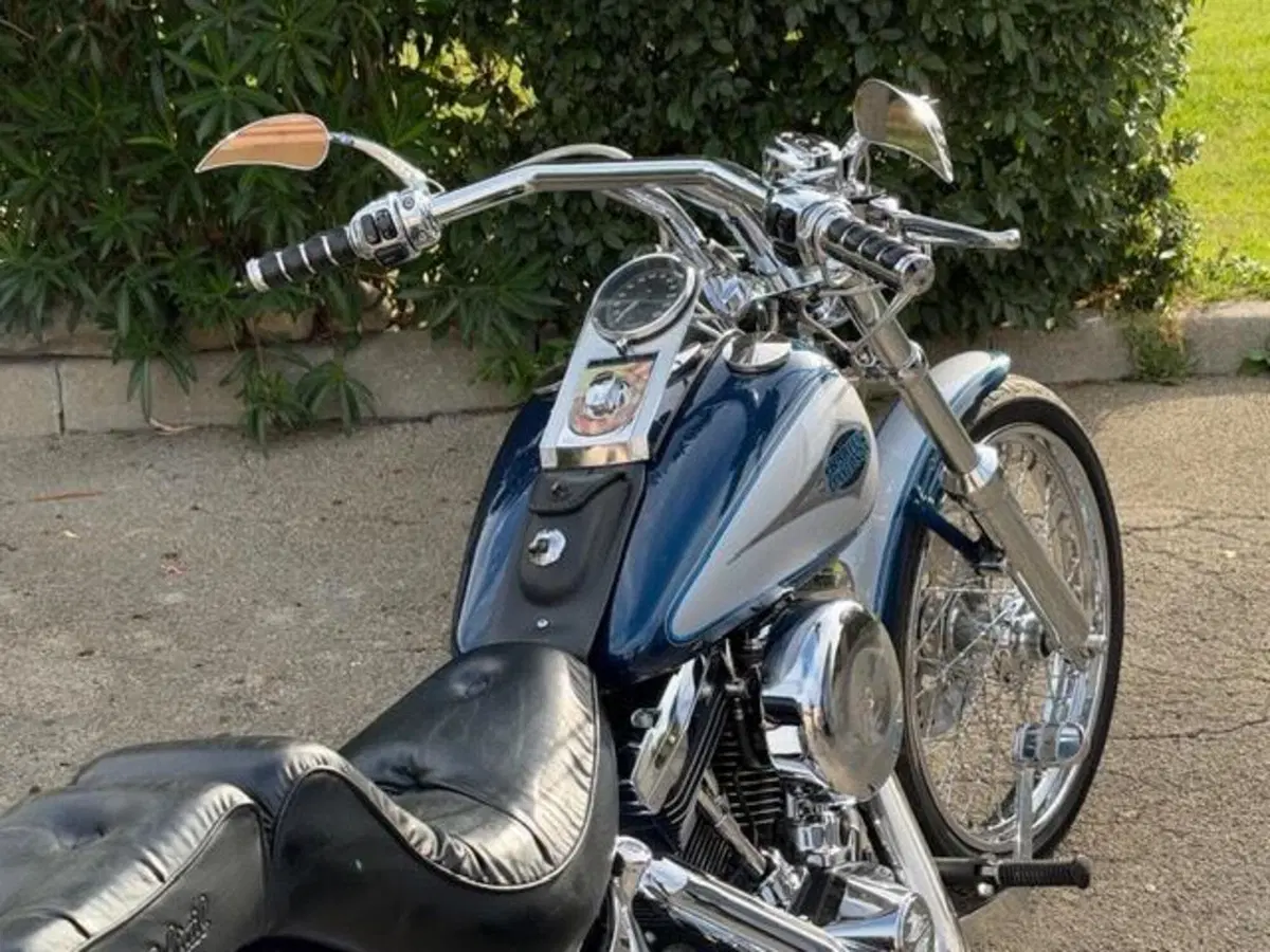 Harley-Davidson 1340 Custom (1989 - 98) (9)