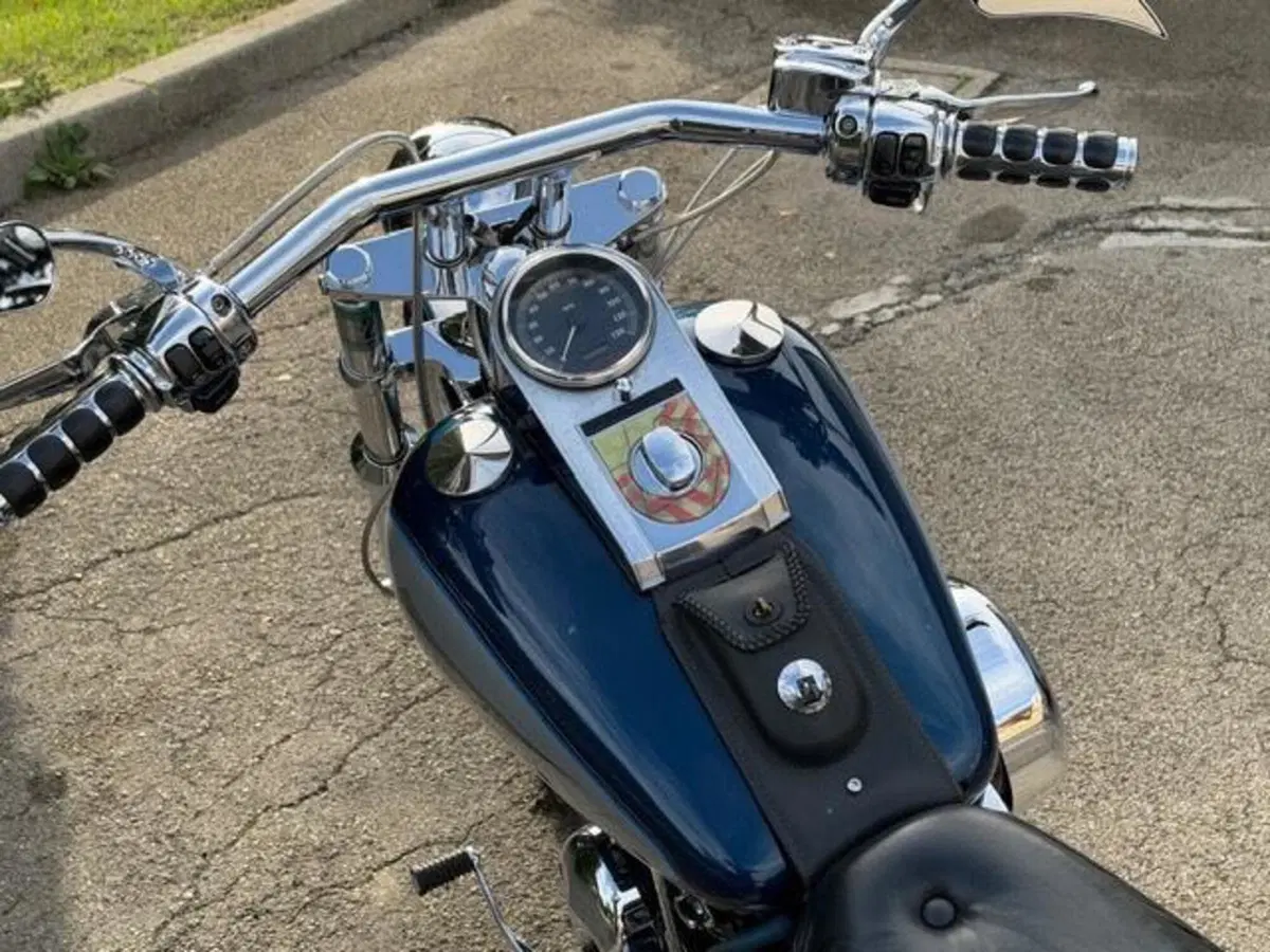 Harley-Davidson 1340 Custom (1989 - 98) (13)