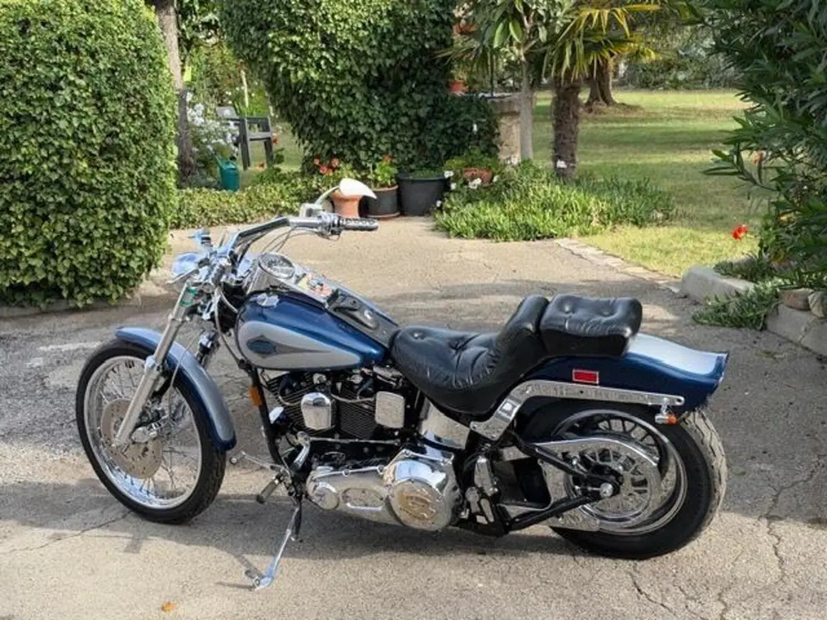 Harley-Davidson 1340 Custom (1989 - 98) (14)