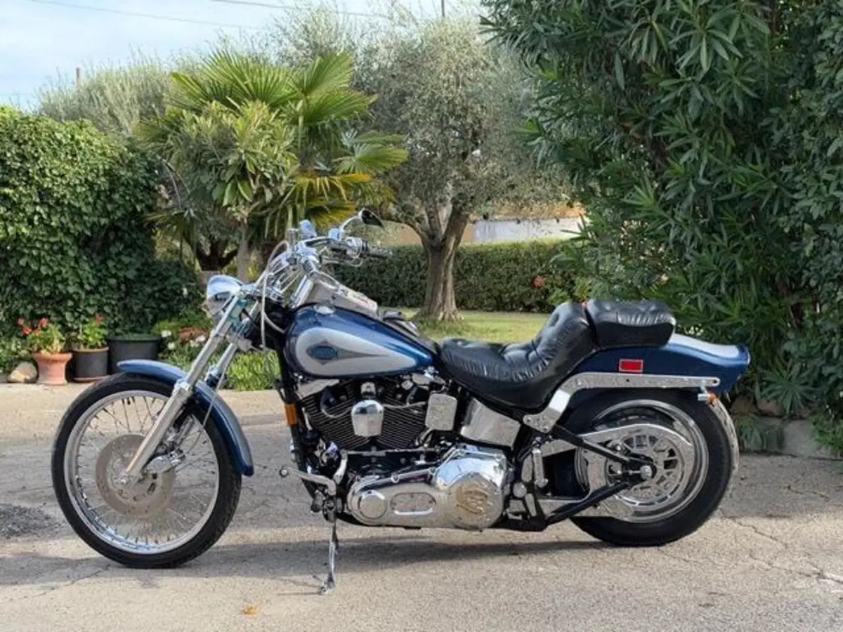 Harley-Davidson 1340 Custom (1989 - 98) (15)