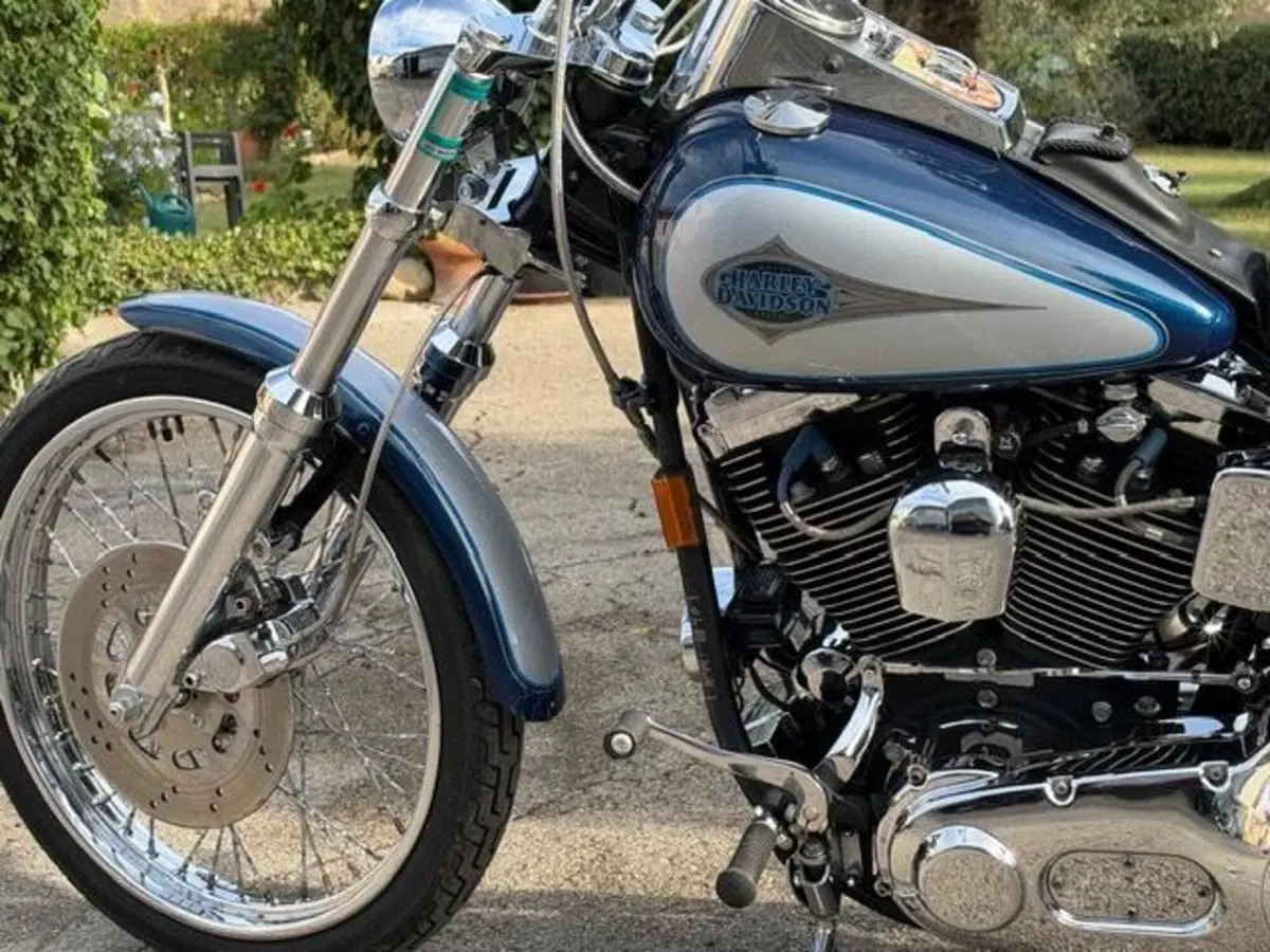 Harley-Davidson 1340 Custom (1989 - 98) (16)