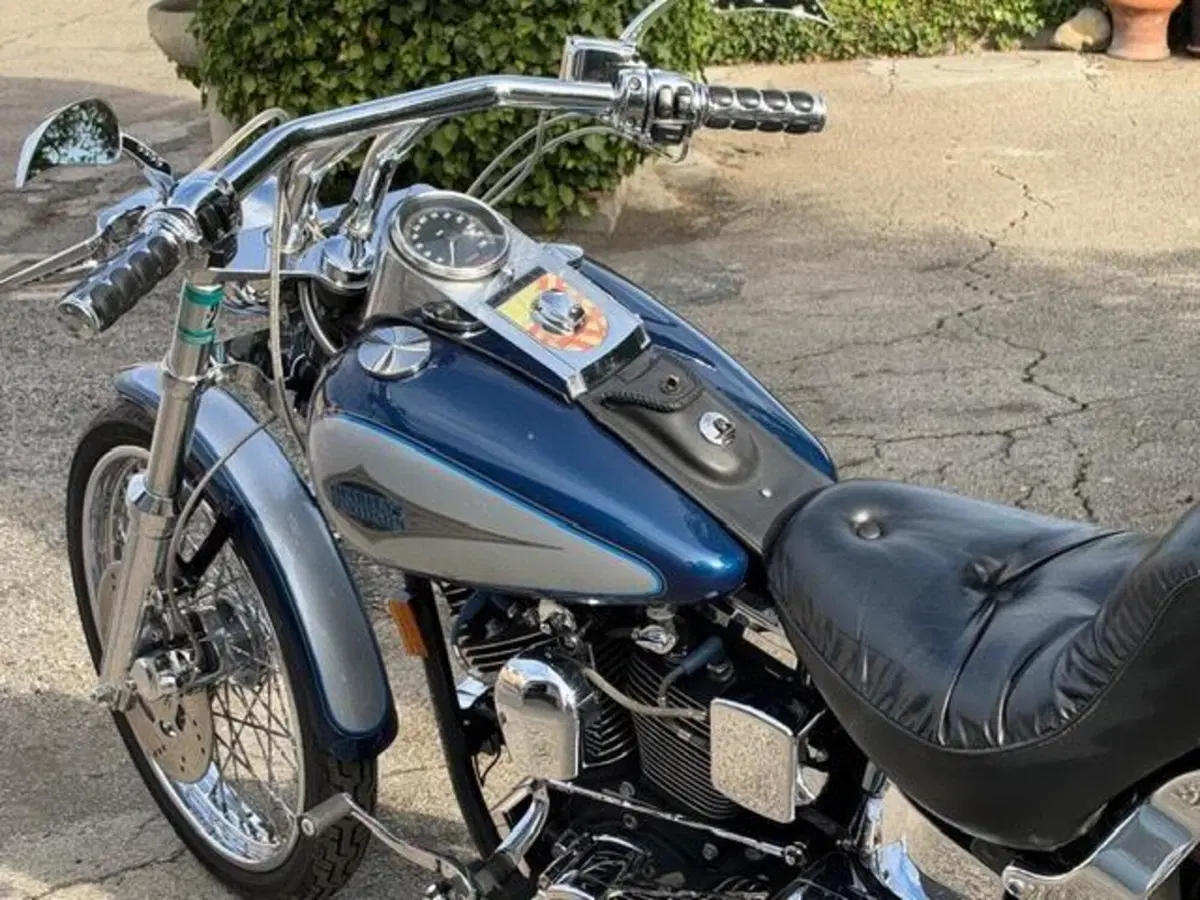 Harley-Davidson 1340 Custom (1989 - 98) (18)