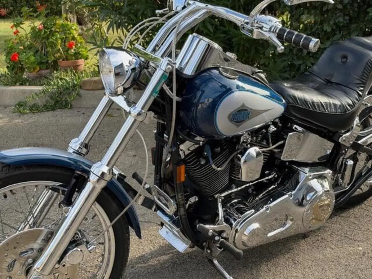 Harley-Davidson 1340 Custom (1989 - 98) (19)